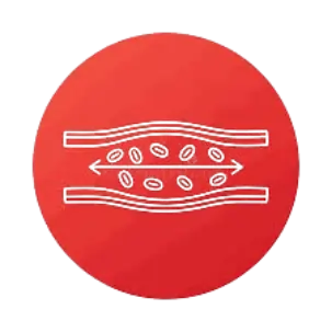 Heart and circulation icon