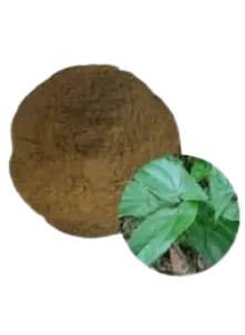 Green horny goat weed leaves