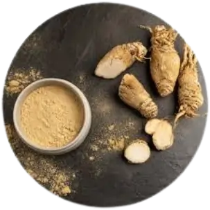Maca root plant extract